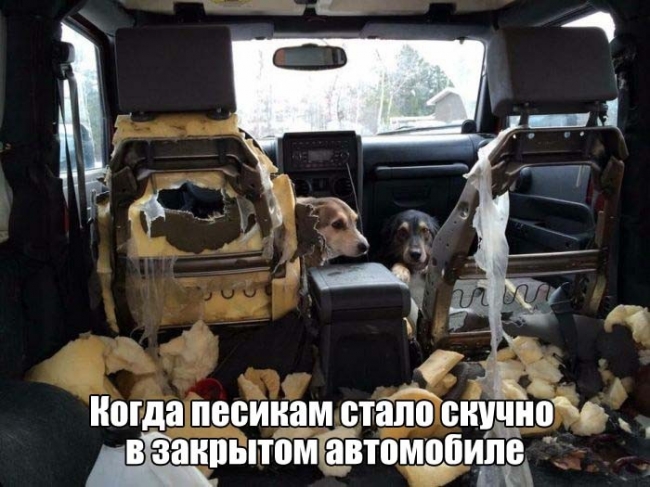 Подборка прикольных фото (107 фото)