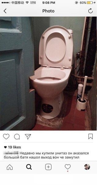 Подборка прикольных фото (119 фото)