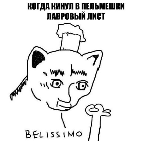 Подборка прикольных фото (119 фото)