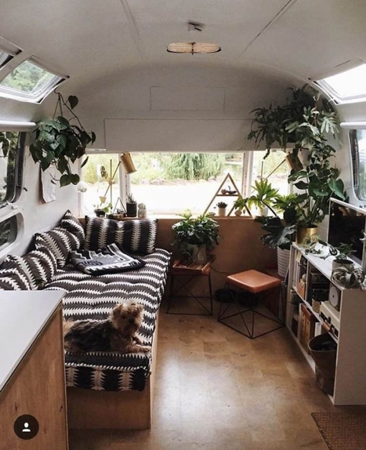 Project Van Life напомнит вам о мечте