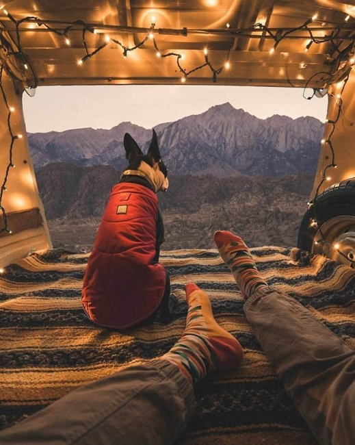 Project Van Life напомнит вам о мечте