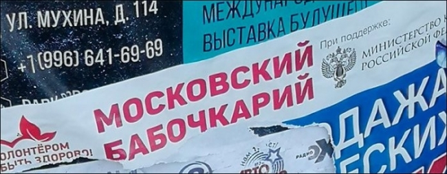 Смешные вывески и объявления (15 фото)